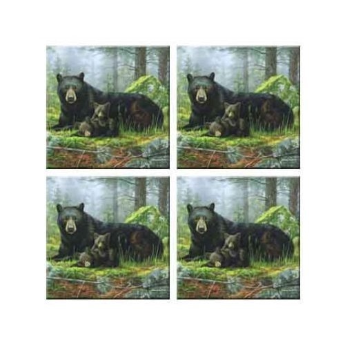 Set of 4 Coasters N306087