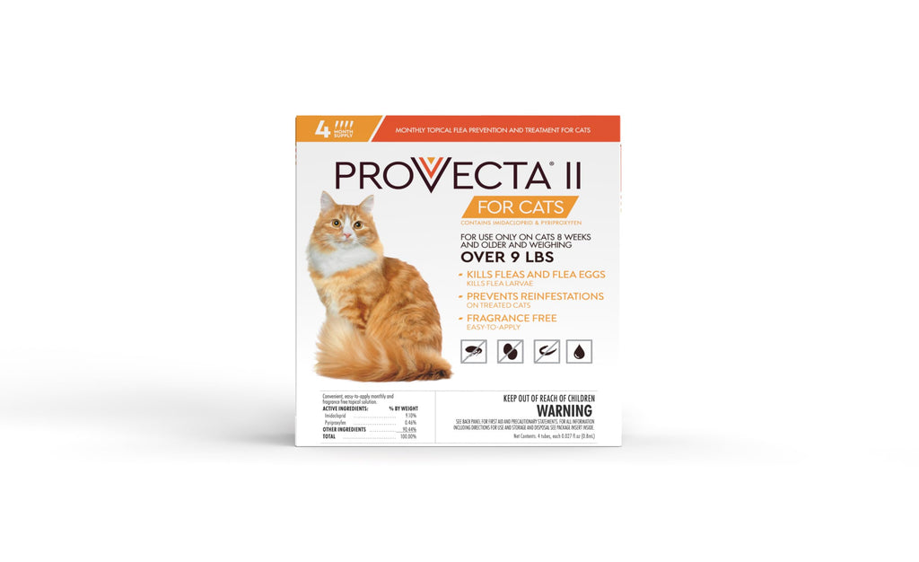 Flea Treatment for Large Cats Over 9 lbs, 4-Month Supply N5642