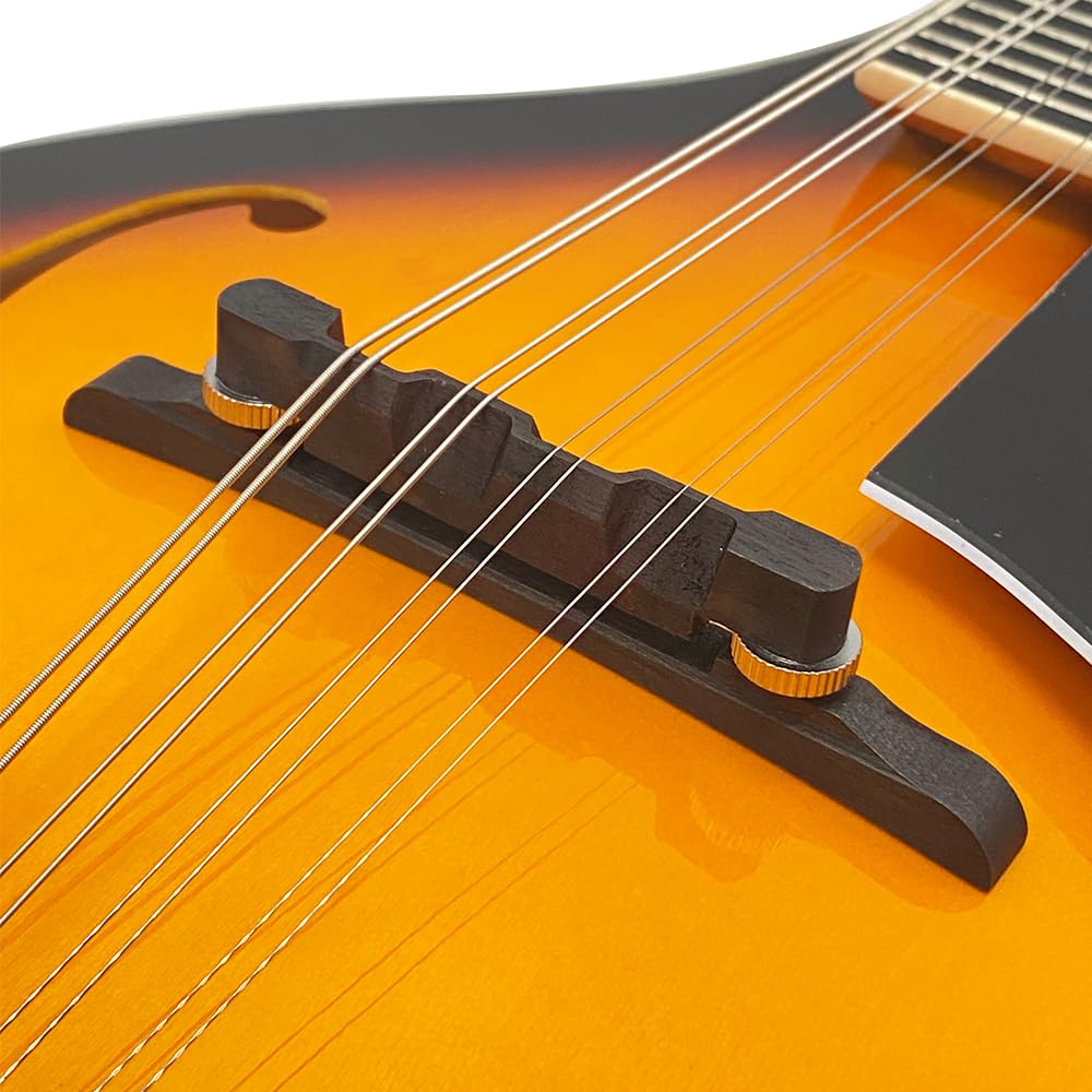 A-Style 8 String Mahogany Acoustic Mandolin J185109
