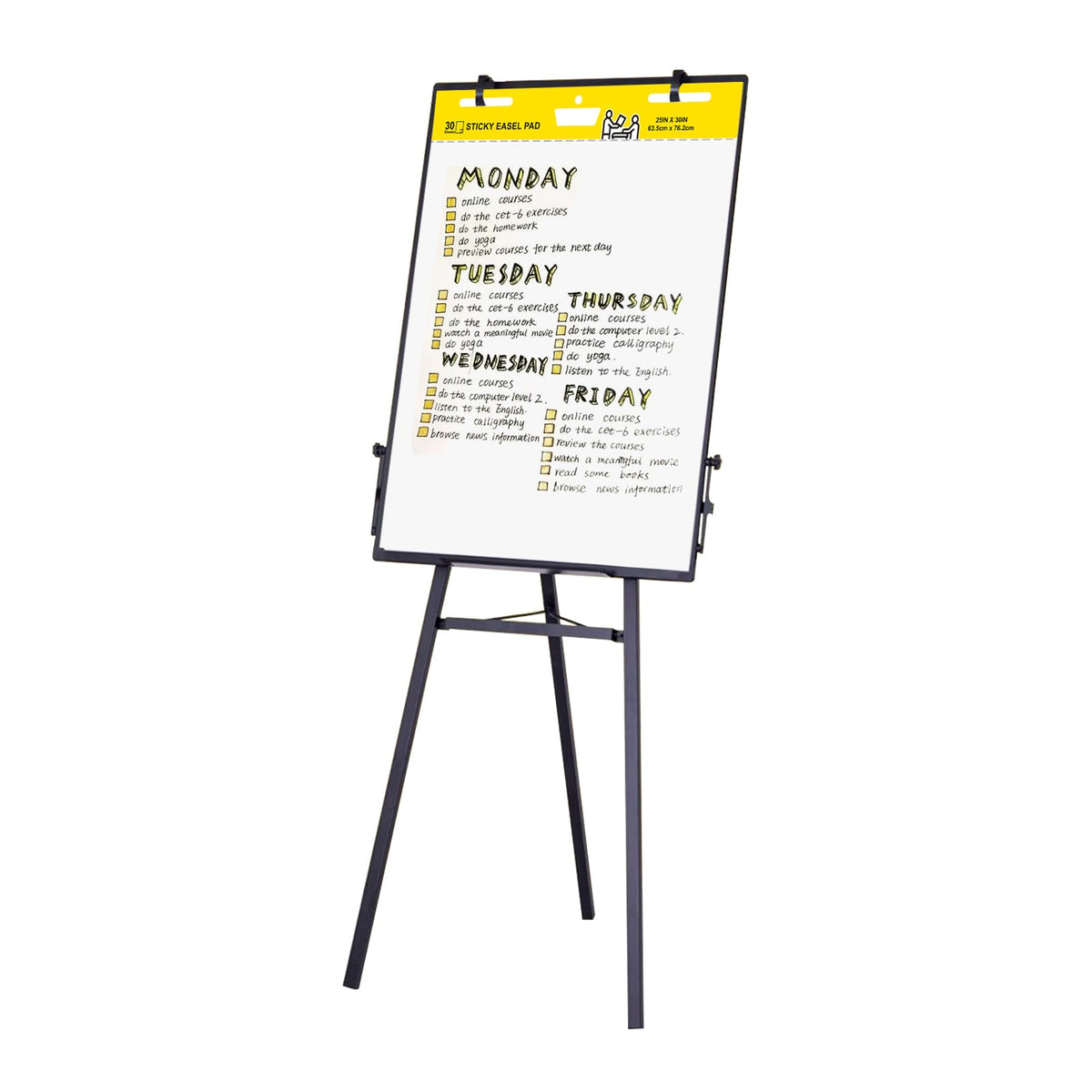 Sticky Easel Pad, 25 x 30 Inches, 30 Sheets/Pad, 2 Pads C425