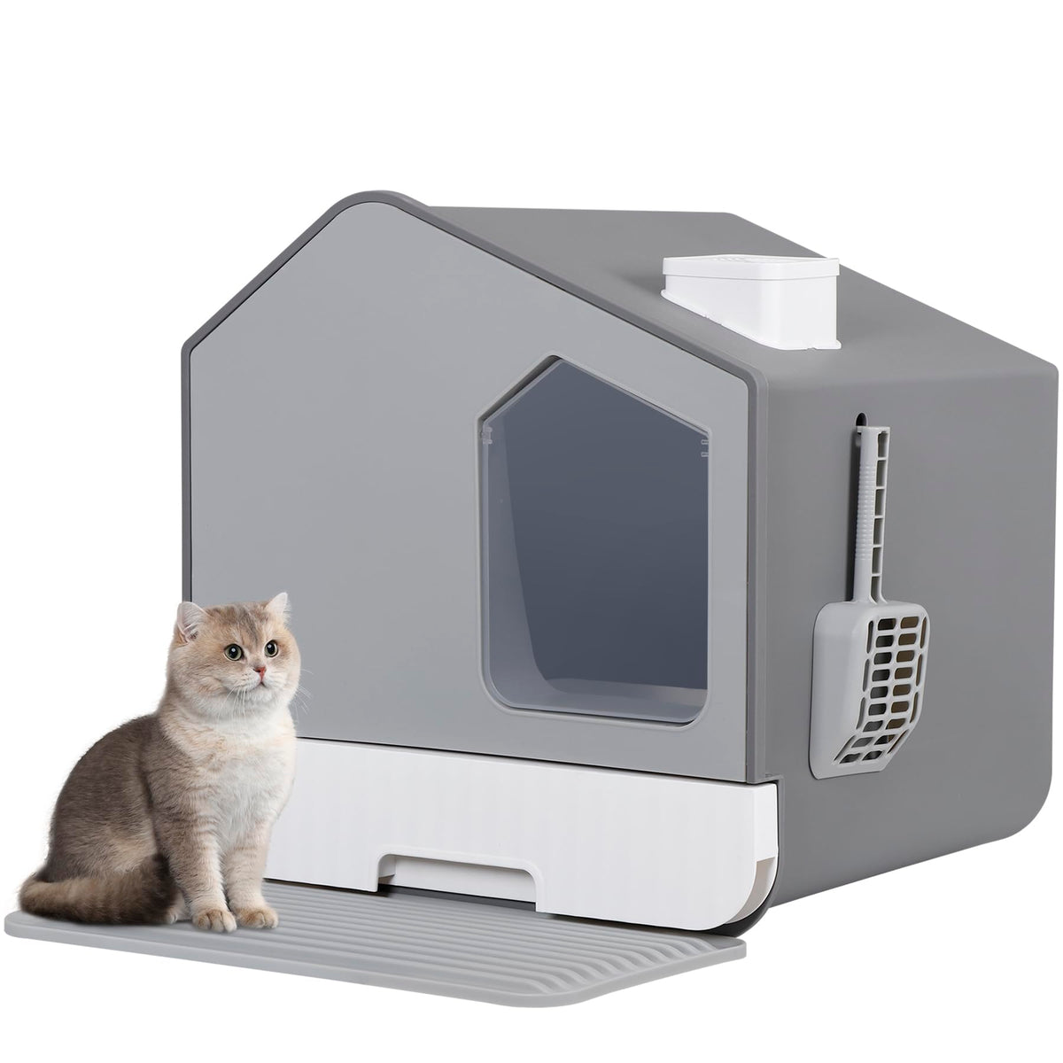 Large Enclosed Cat Litter Box with Mat and Scoop W348