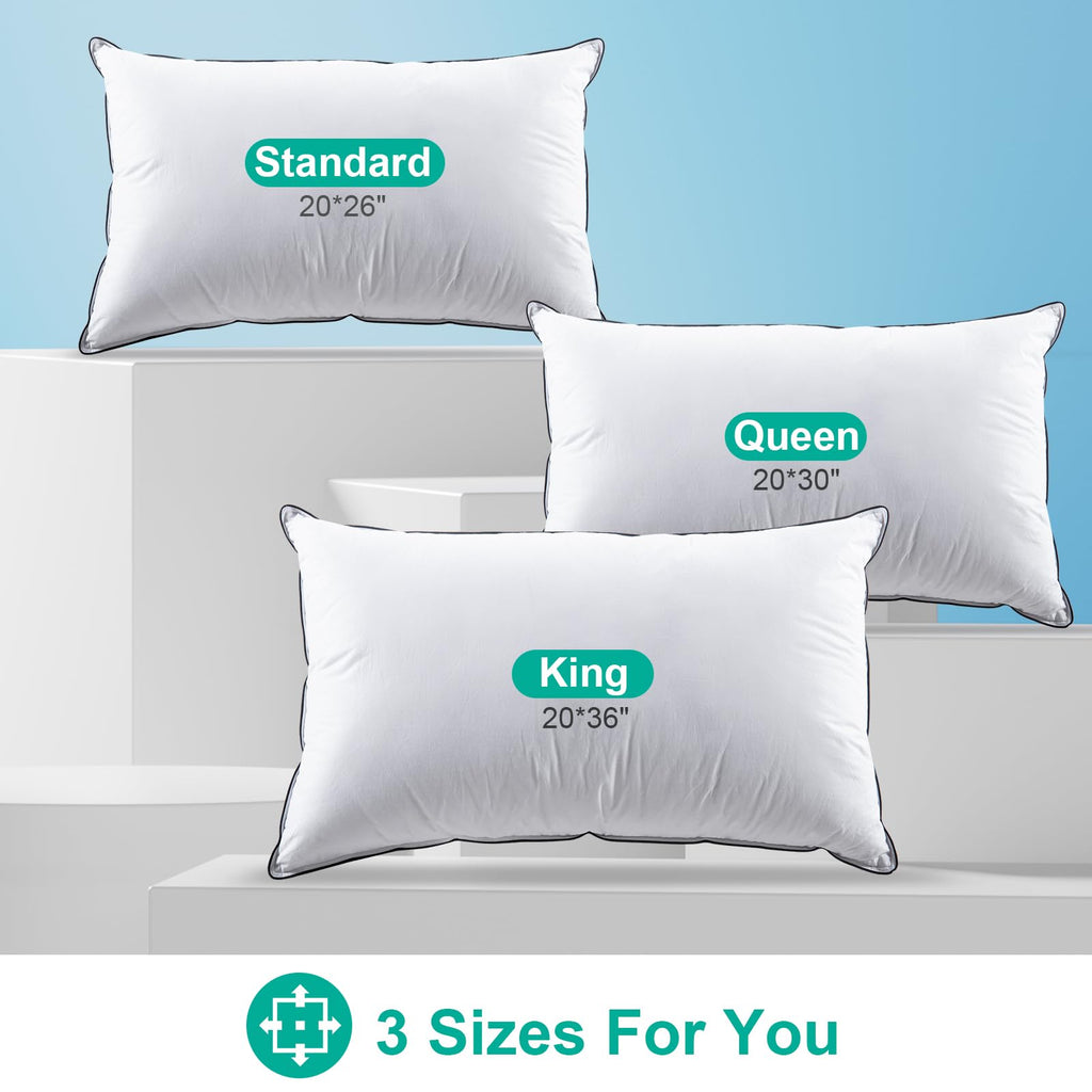 Goose Feather Down King Size Set of 2 Pillows B39439