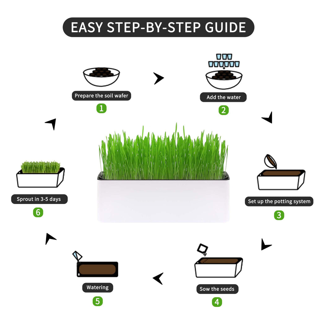 Indoor Cat Grass with Organic Seed Mix Rectangular Planter B642857