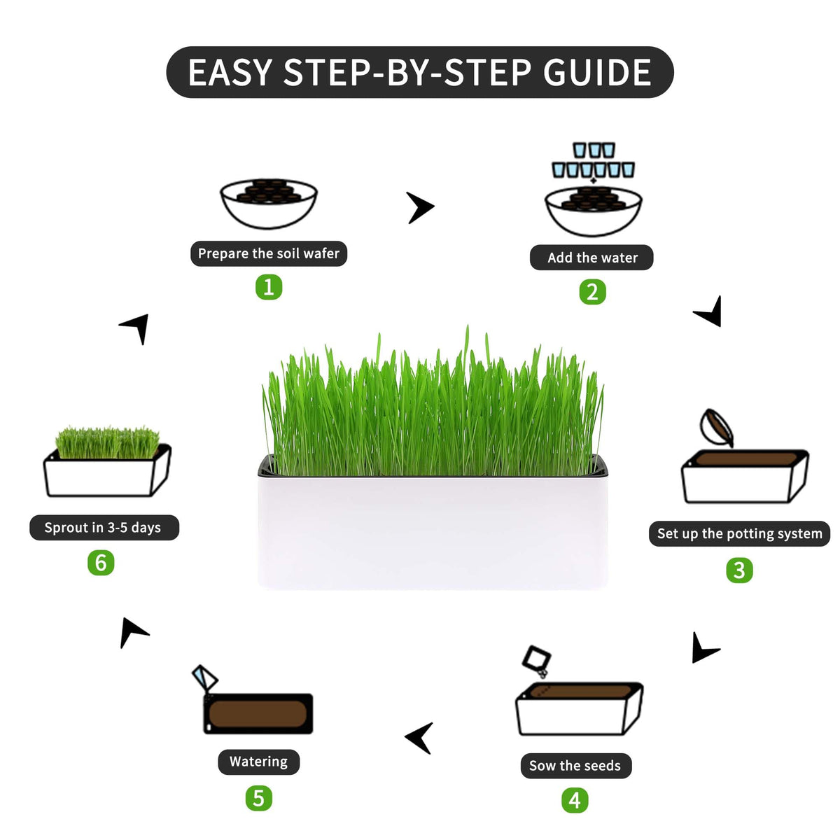 Indoor Cat Grass with Organic Seed Mix Rectangular Planter B642857