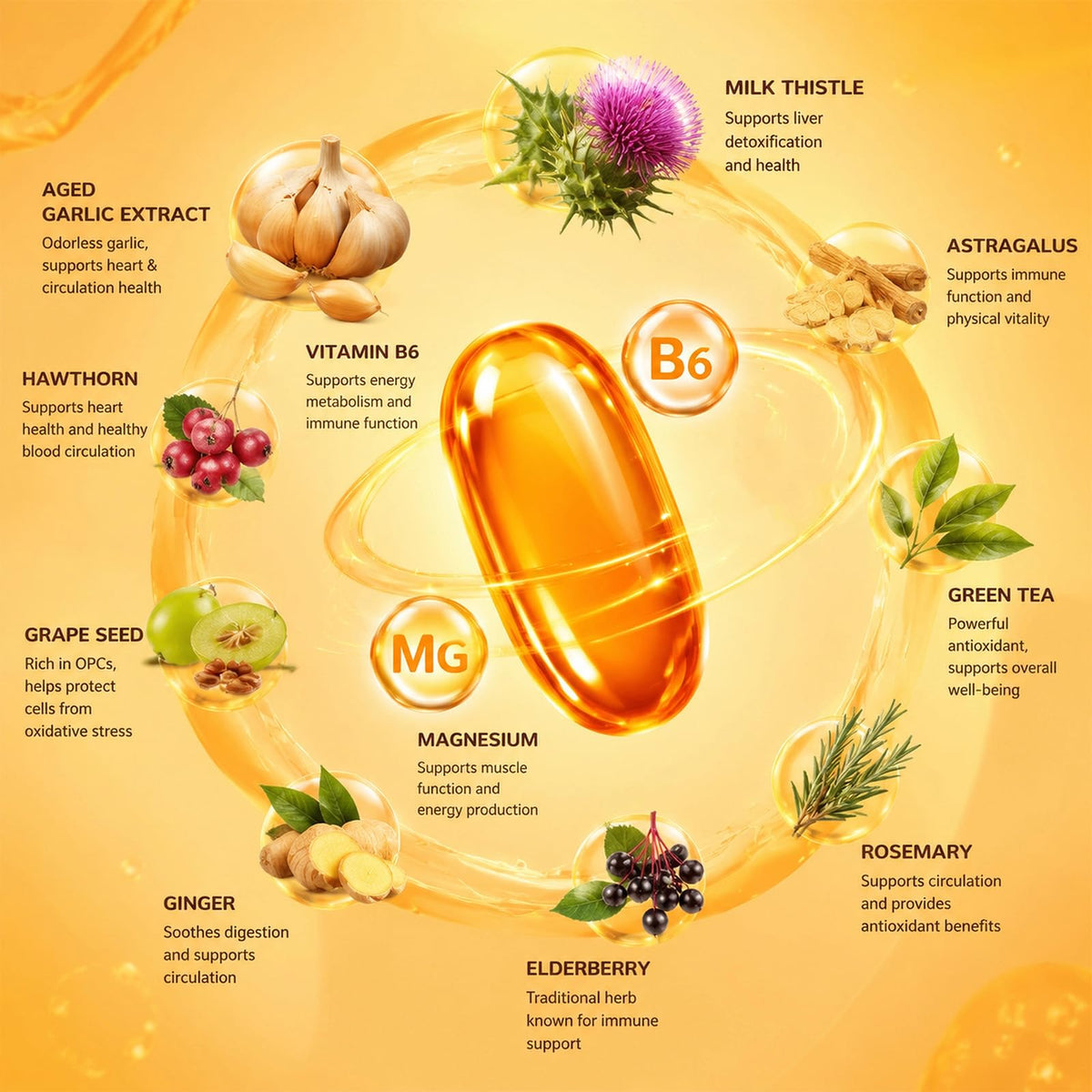 1200mg Odorless Aged Garlic Extract Softgels with CoQ10 D68693