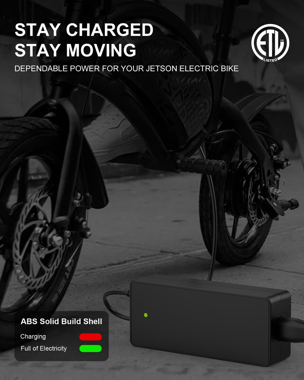 42V Charger for Electric Bike and Scooters I8156