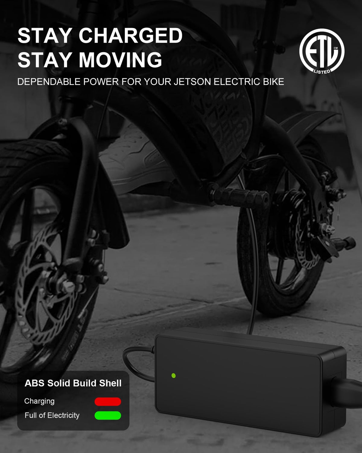 42V Charger for Electric Bike and Scooters I8156