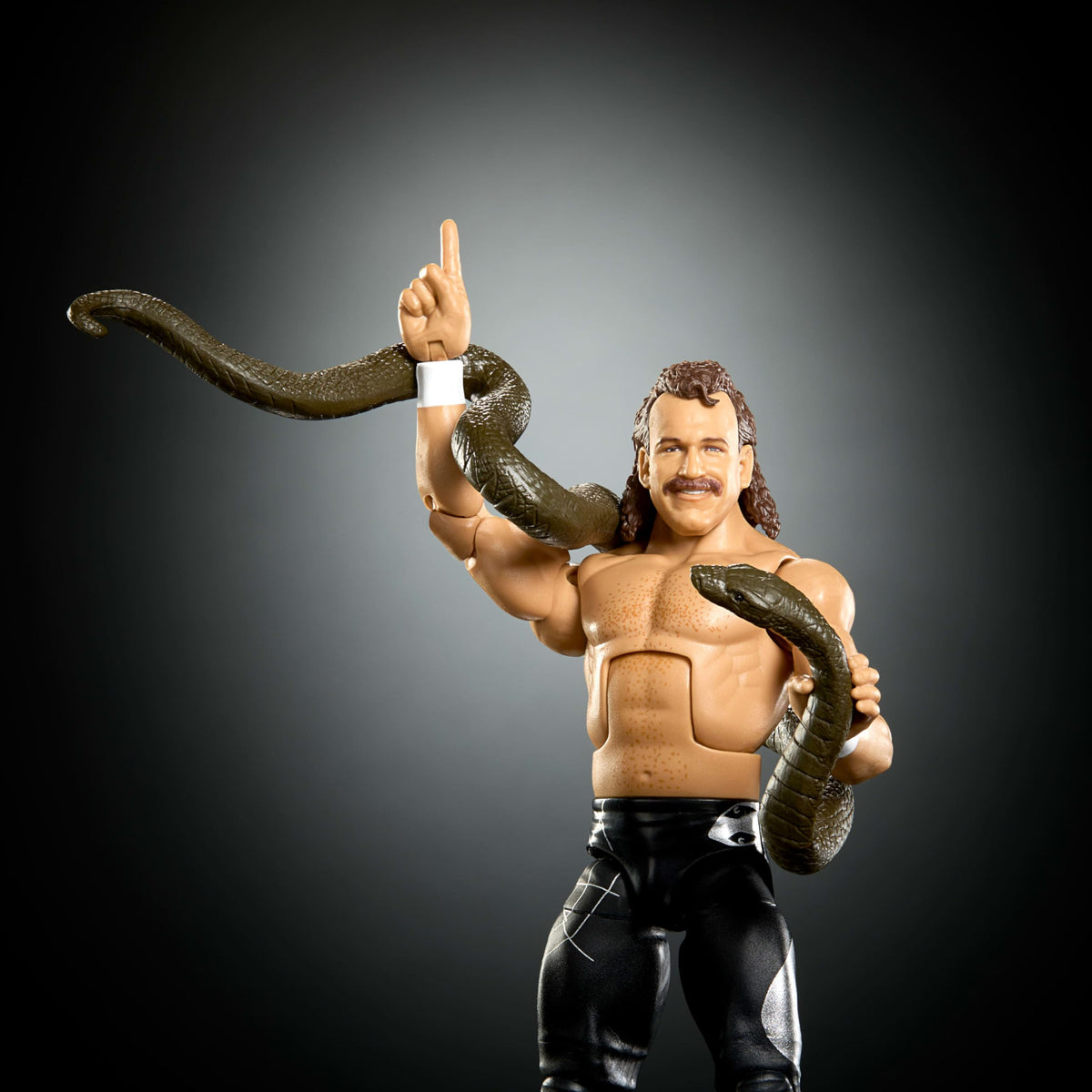 WWE Elite Collection Figure & Accessories R488678
