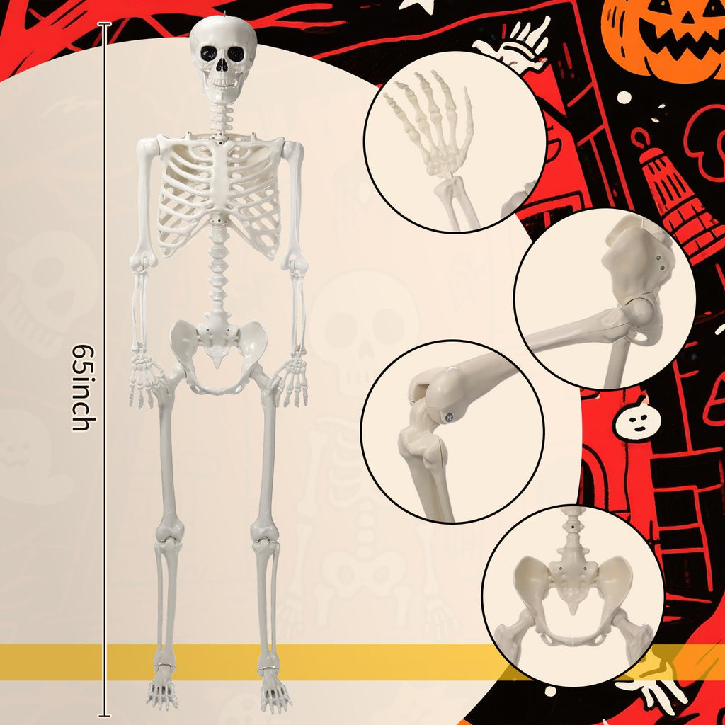 5.4 ft Posable Skeleton with 2 Pack Metal Signs U51901