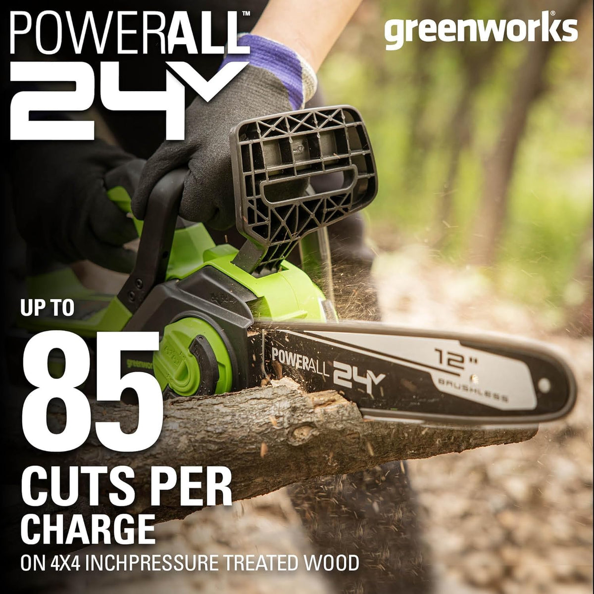 24V 12 in Cordless Electric Chainsaw B9343