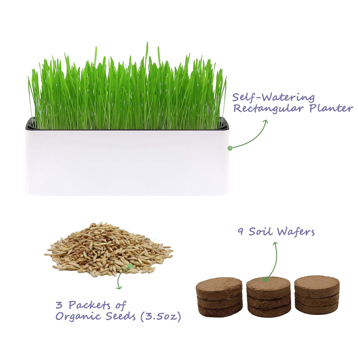 Indoor Cat Grass with Organic Seed Mix Rectangular Planter B642857
