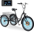 350W 36V 7 Speeds Electric Tricycle with Basket S5770
