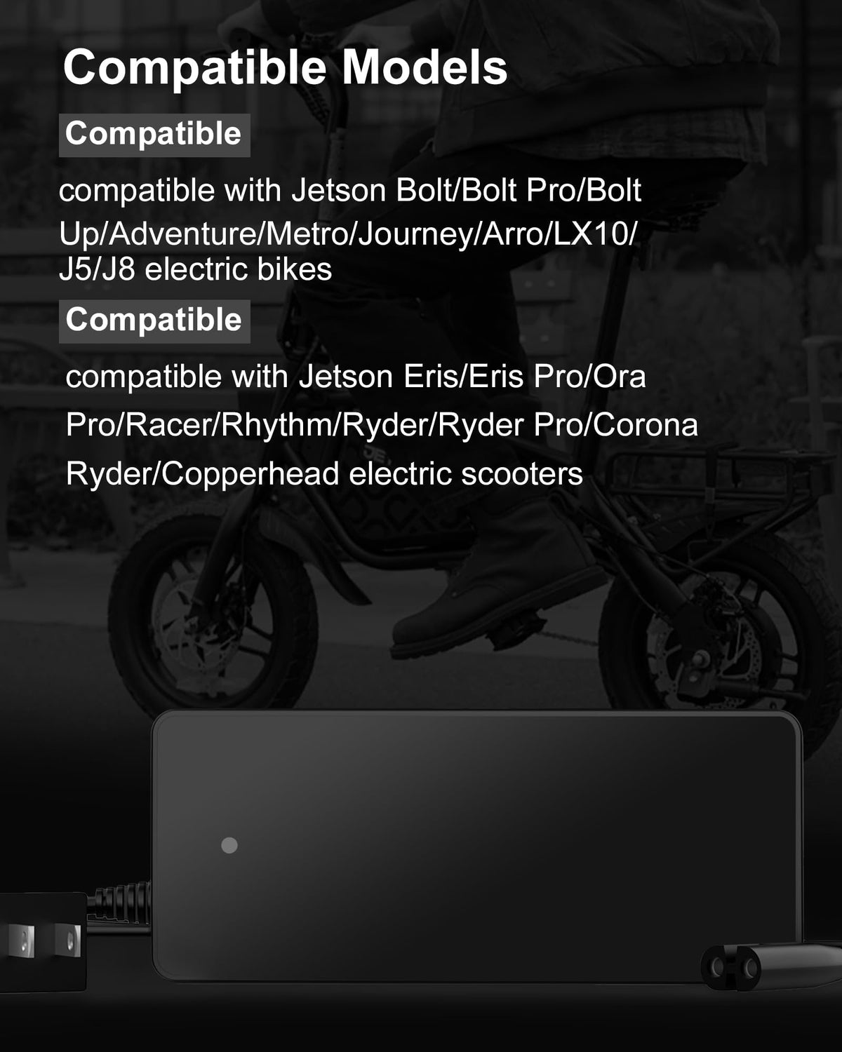 42V Charger for Electric Bike and Scooters I8156