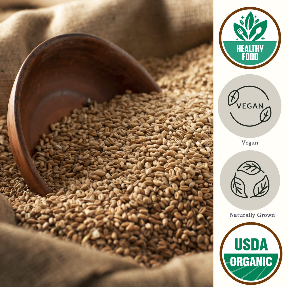 Organic Hard White Wheat Berries 5.8 lb L427347