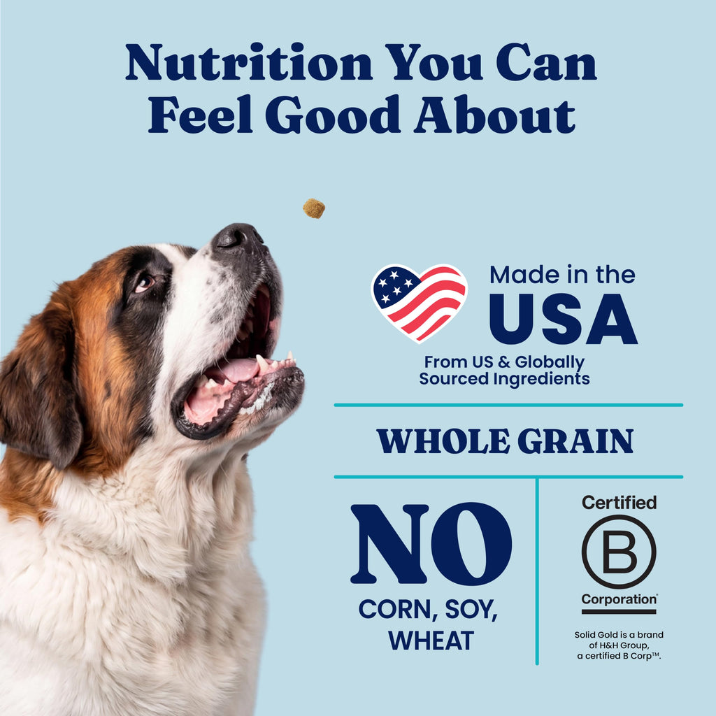 Solid Gold Bison Dry Dog Food 22LB G523