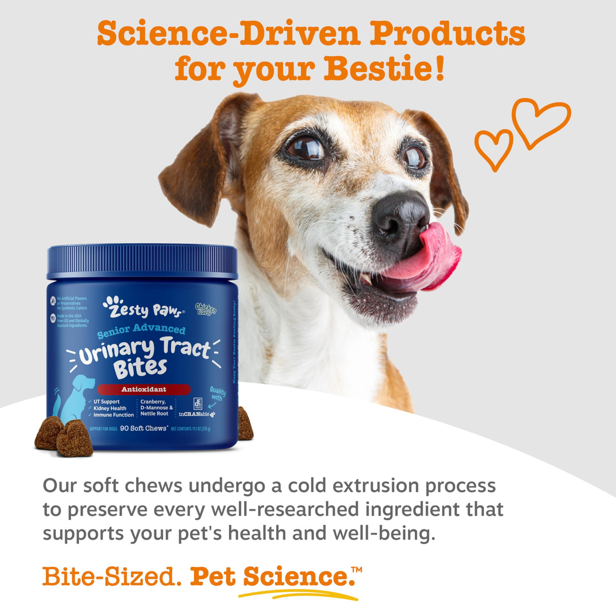 Senior Dog Bladder Control Supplement Chicken 90ct Q8949