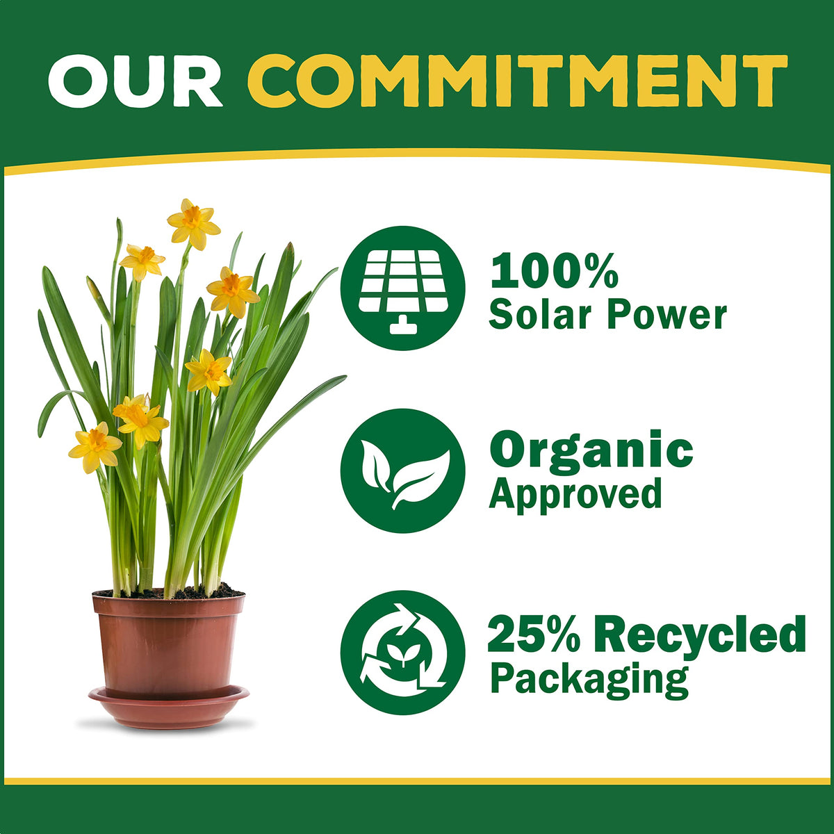 Organic Liquid Concentrate Plant Food 16oz D367
