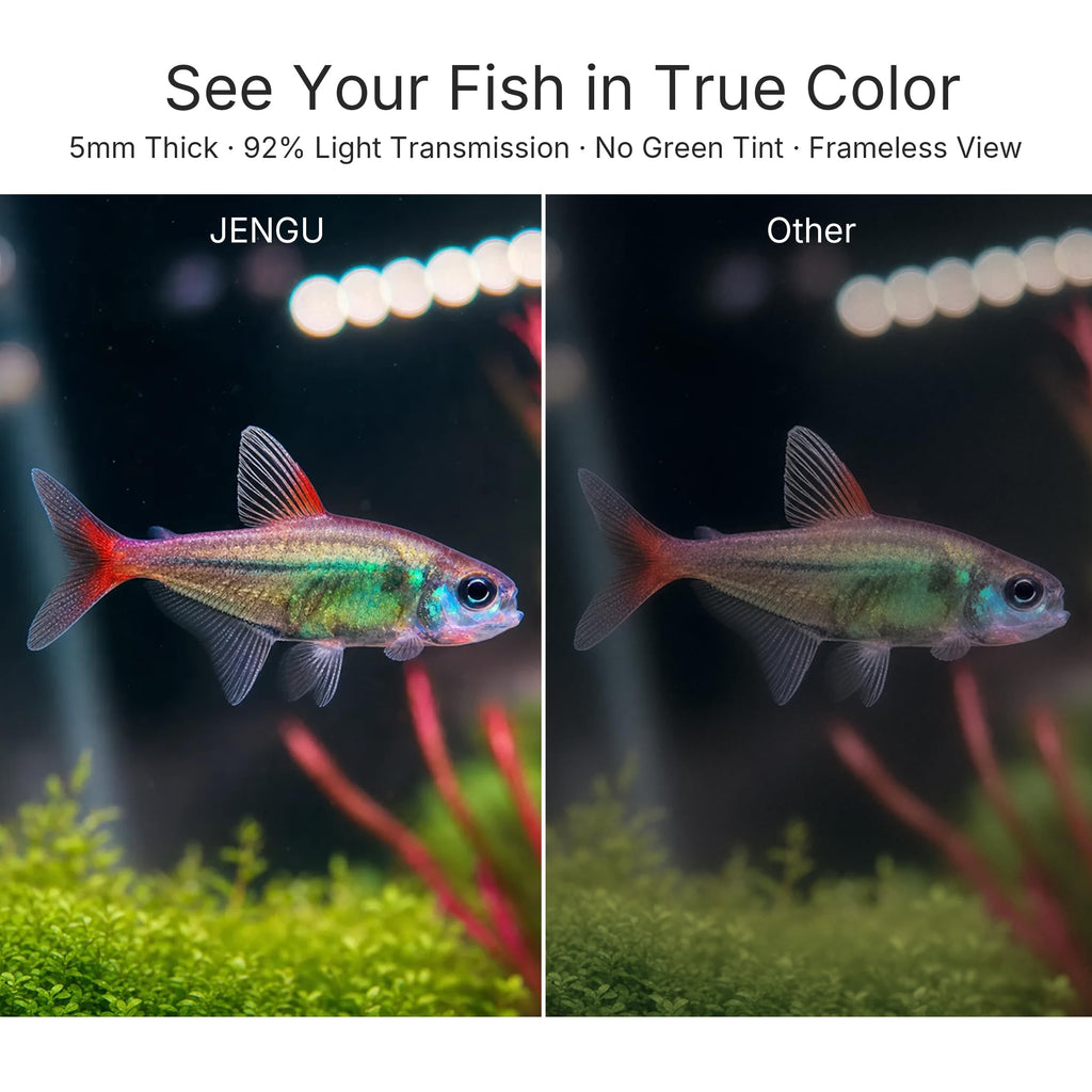 2.1 Gal Betta Fish Tank L203204