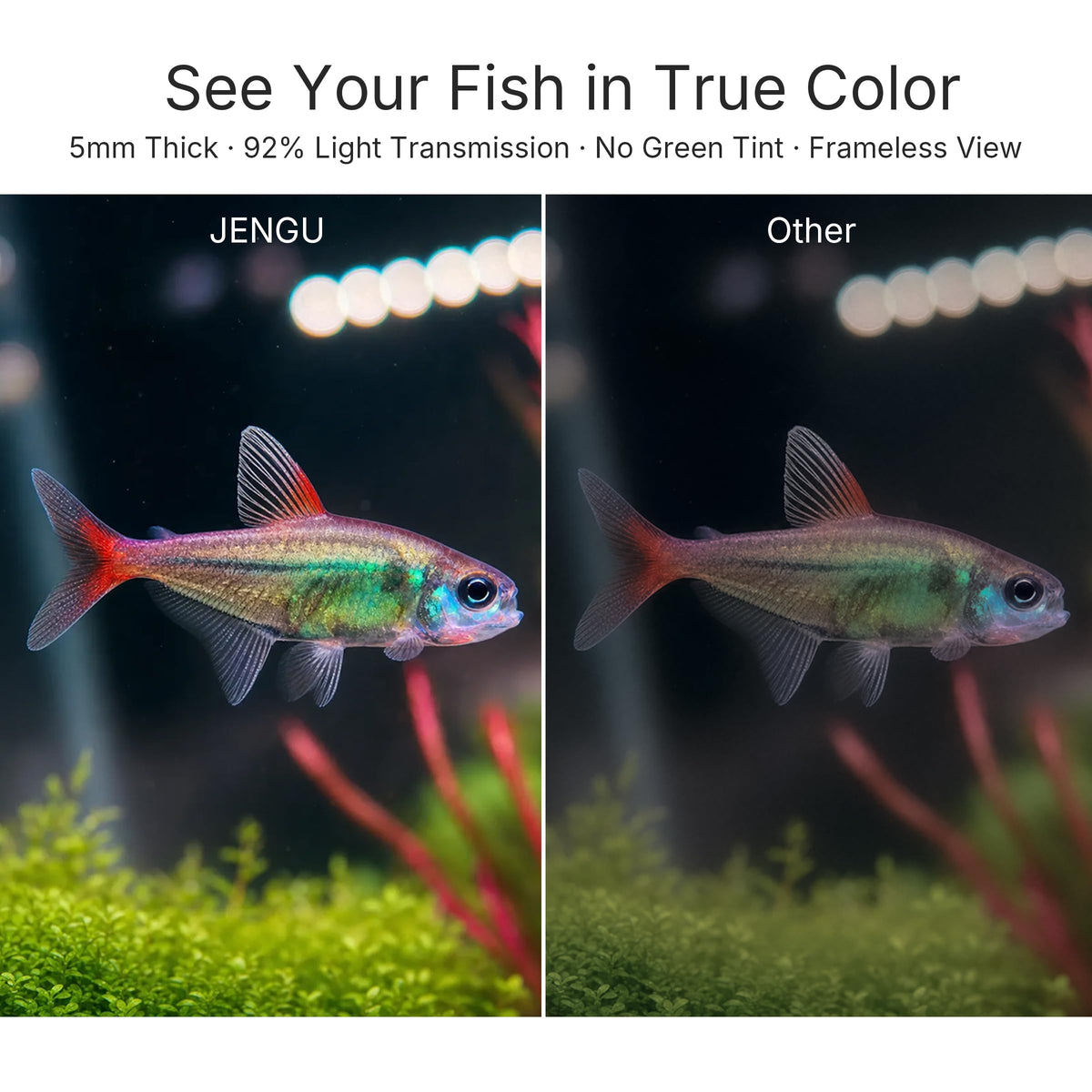 2.1 Gal Betta Fish Tank L203204