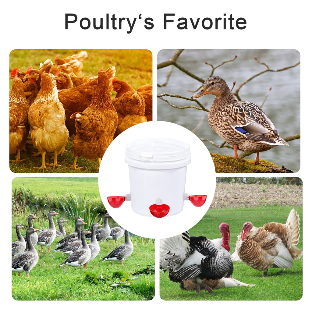 8 Packs Chicken Waterer Cups with Mounting Hole Opener T768