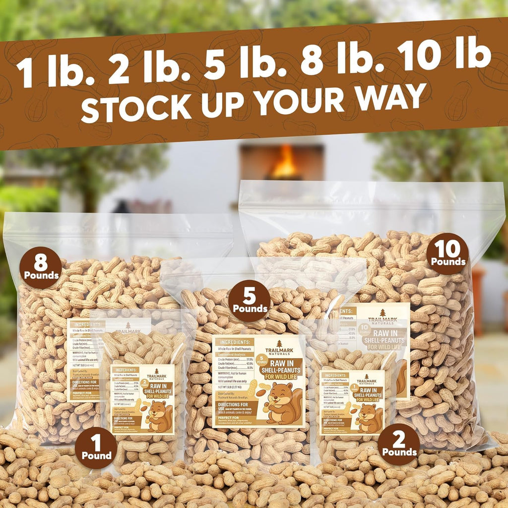 Raw Peanuts for Squirrels and Birds, 12 Pounds H96352