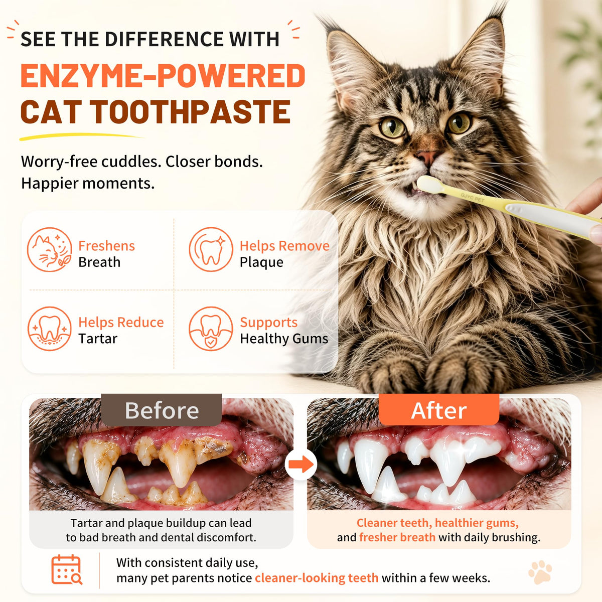 55g Roasted Chicken Enzymatic Cat Tooth Brushing Kit with Soft Bristles Toothbrush & Finger Brush L596699