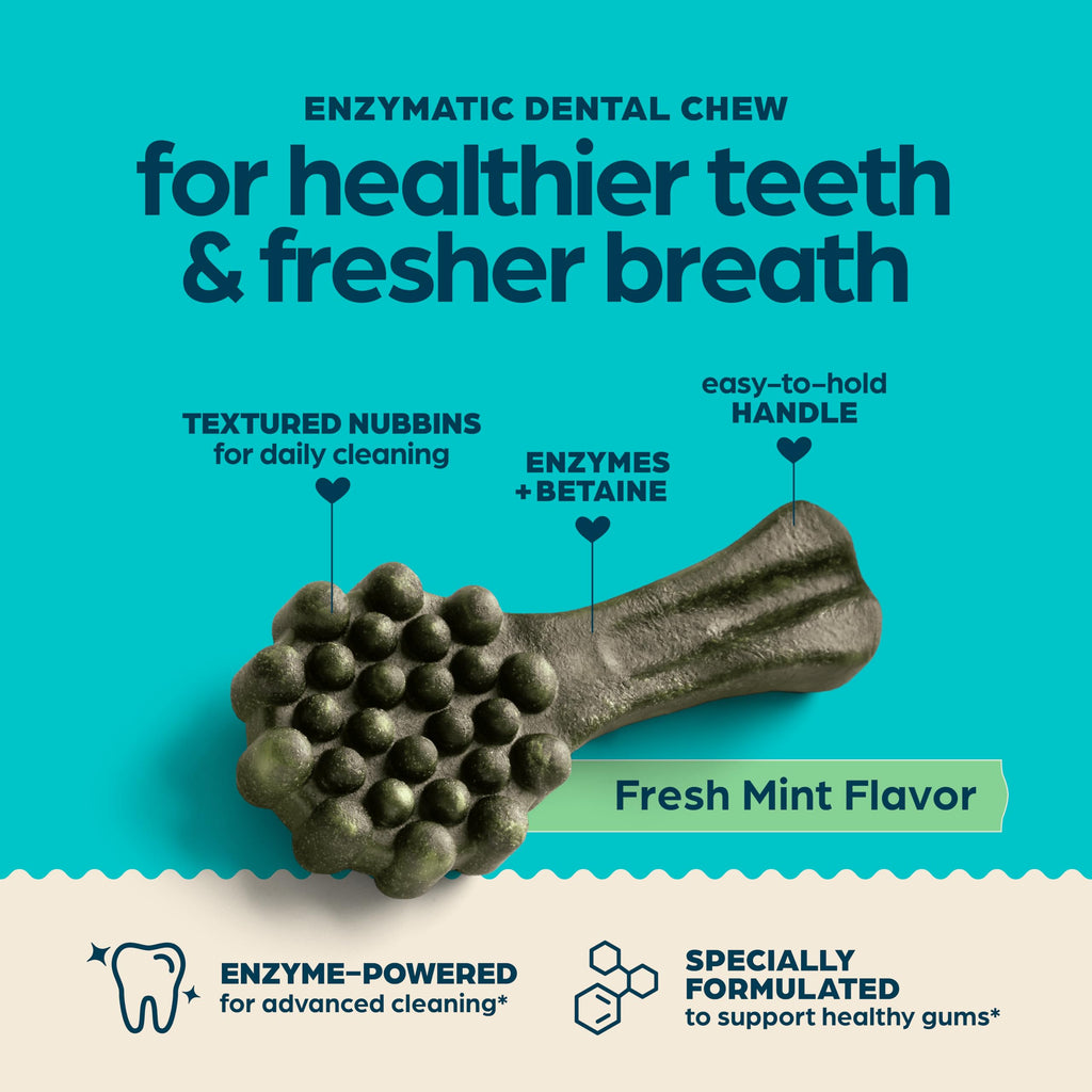 Fresh Mint Flavor Dental Chews, 13 Count D656