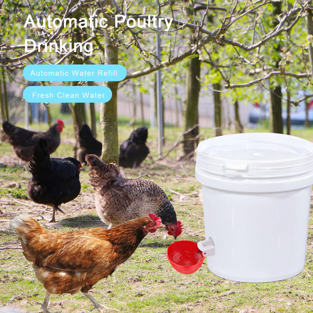 8 Packs Chicken Waterer Cups with Mounting Hole Opener T768