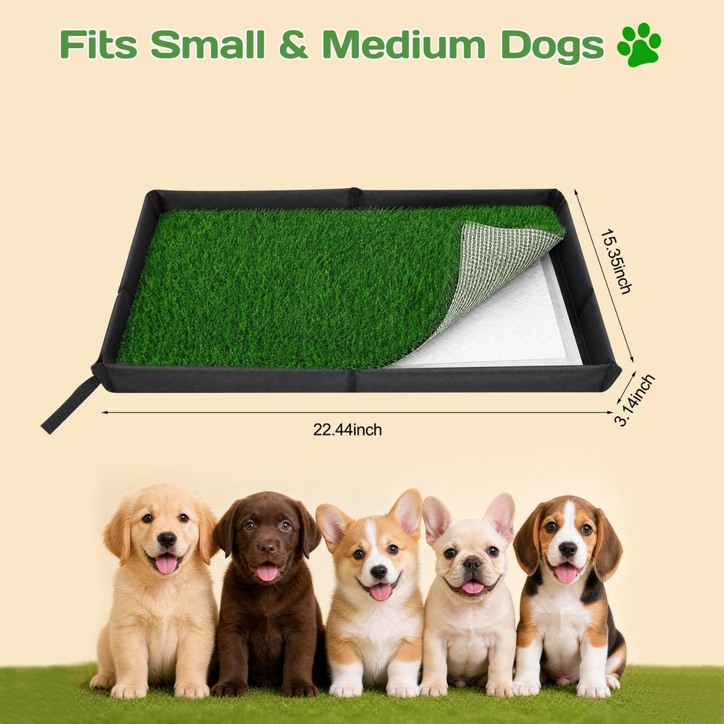 Dog Grass Pad with Tray D53839