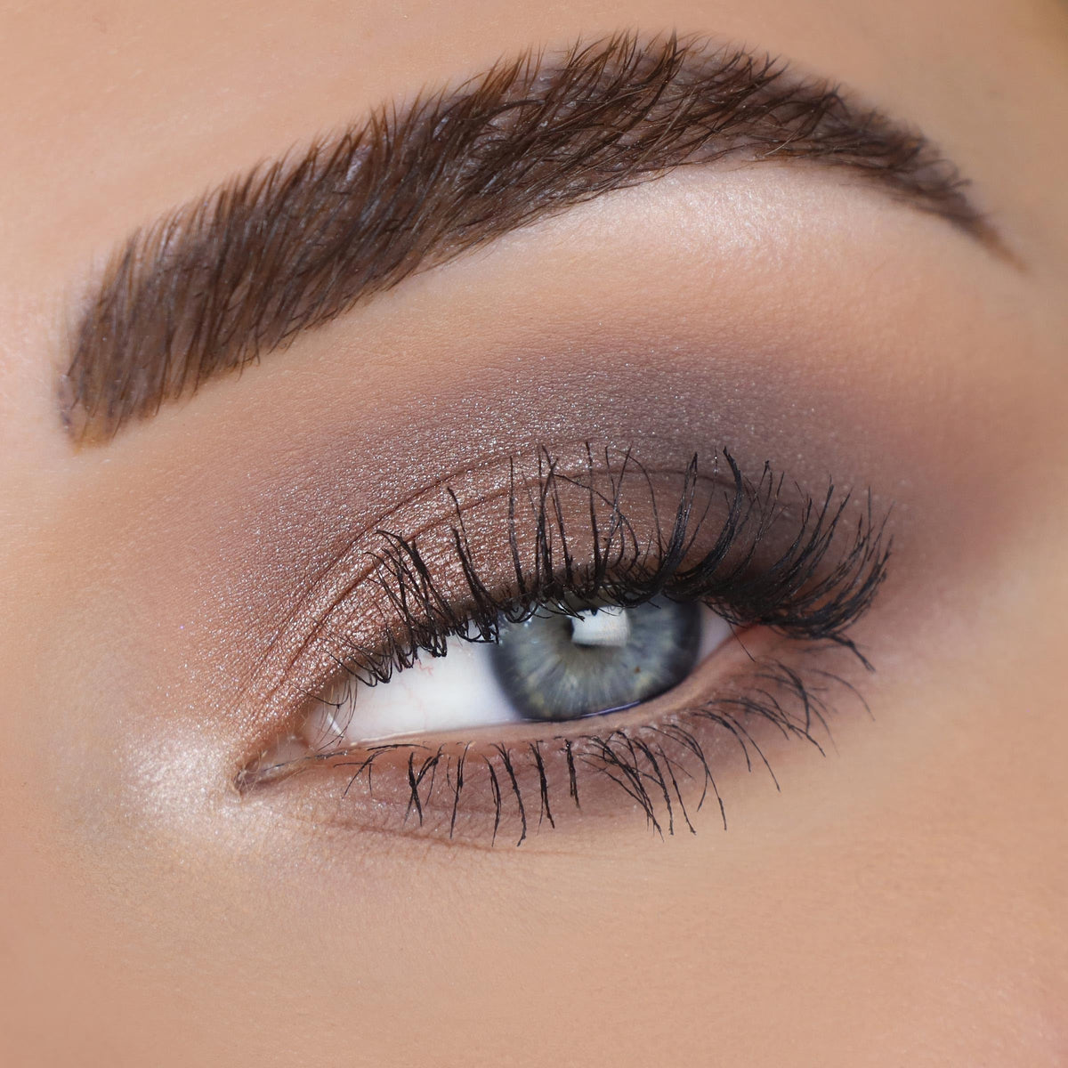 30 Pan Cool Tone Eyeshadow Palette with Matte & Metallic Finishes L19600