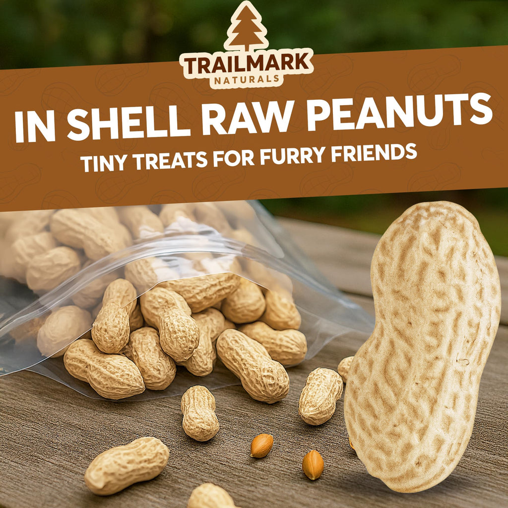 Raw Peanuts for Squirrels and Birds, 2 Pack of 5 Lb Bags E6494