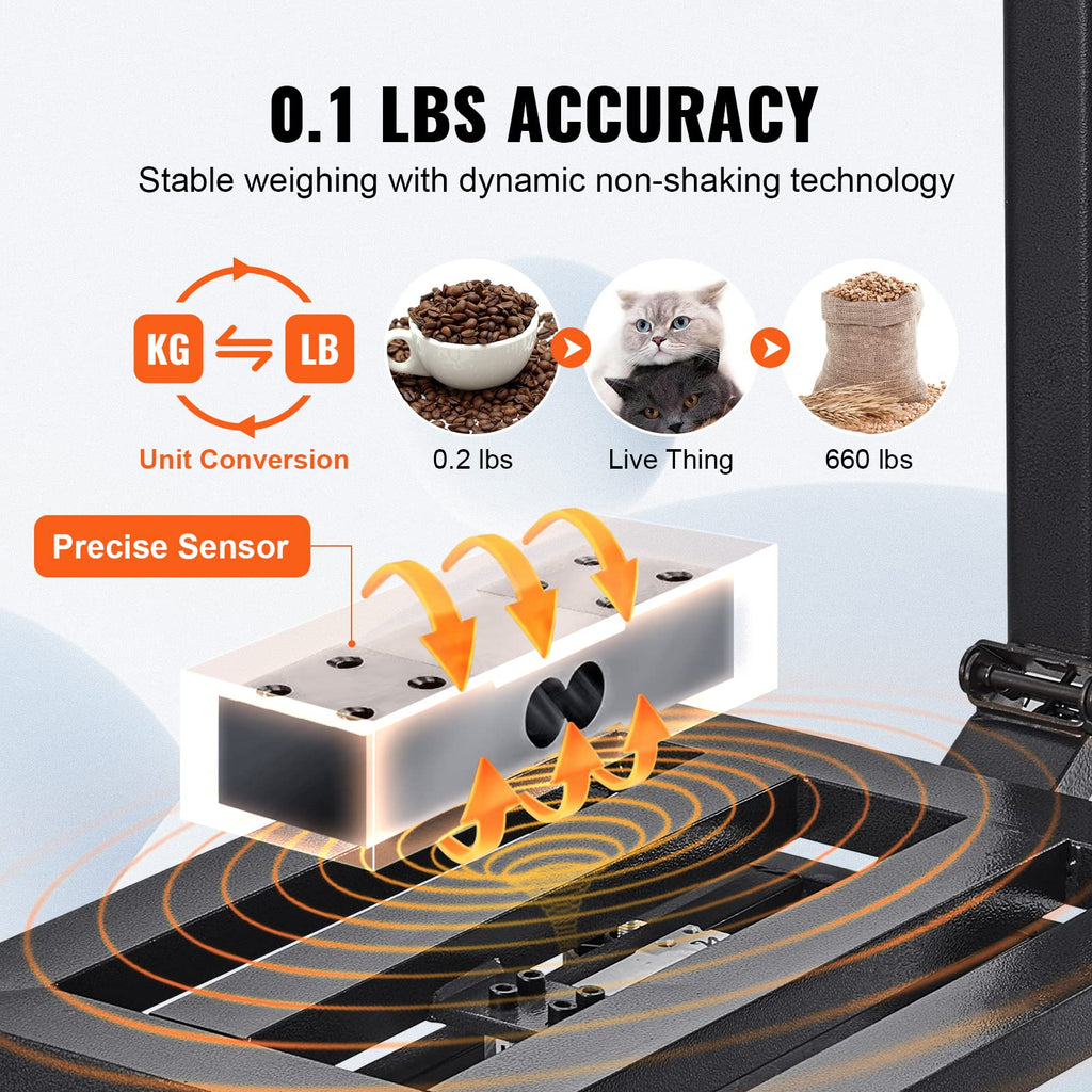 660 lbs Stainless Steel Digital Platform Scale D6029