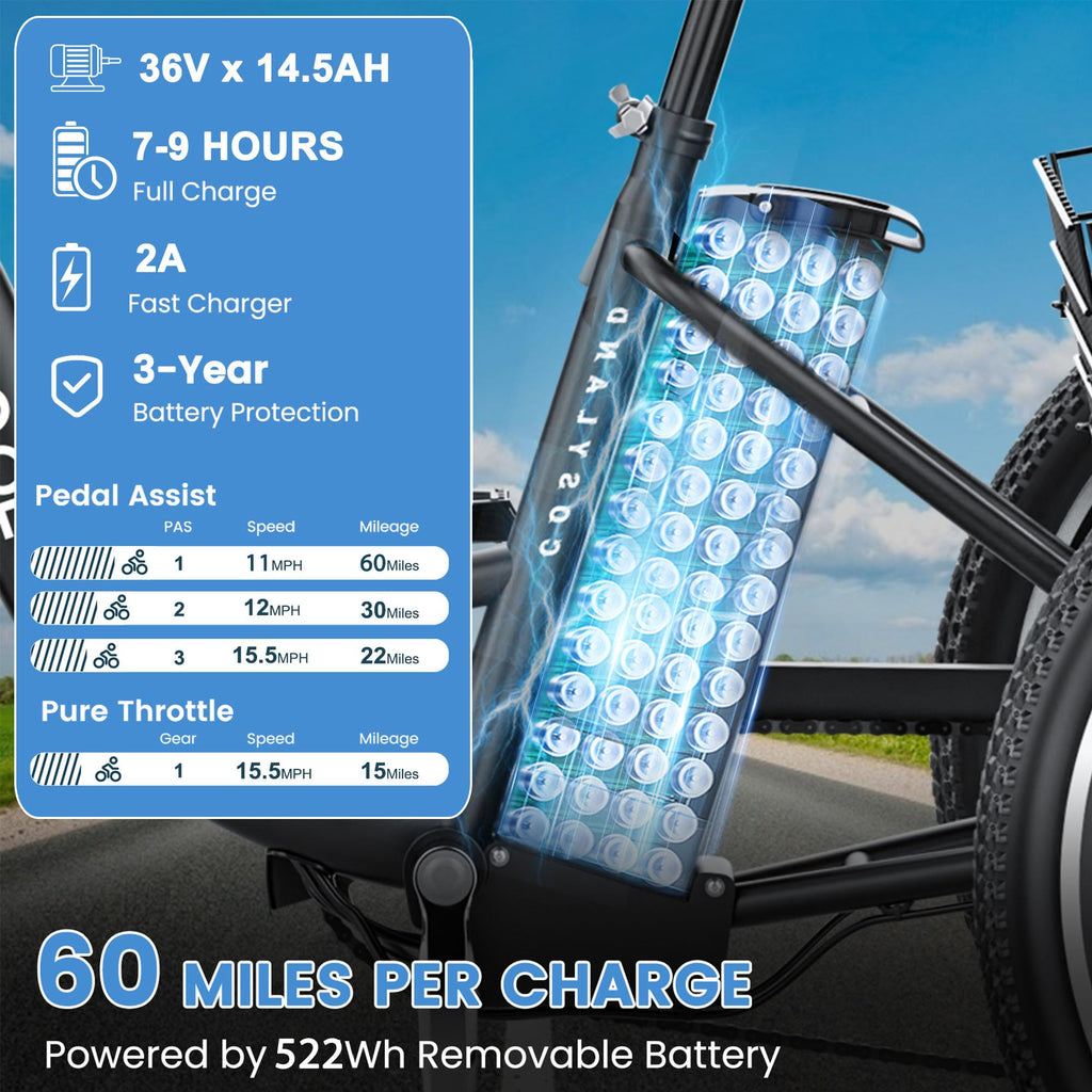 350W 36V 7 Speeds Electric Tricycle with Basket S5770
