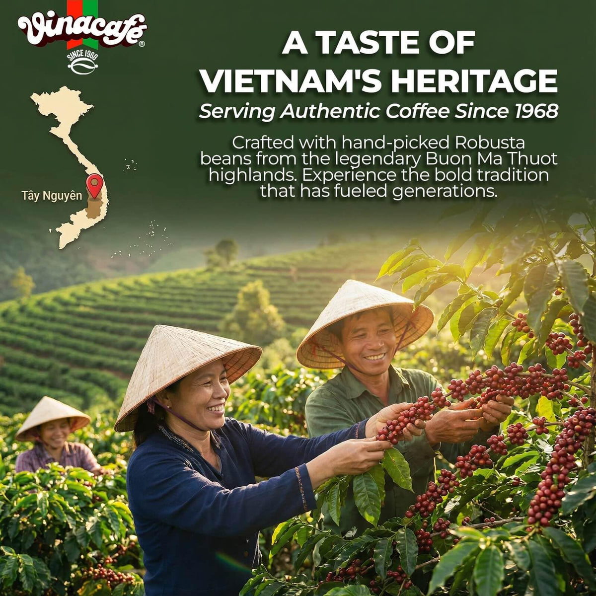 Instant Coffee Mix 3 in 1 T853