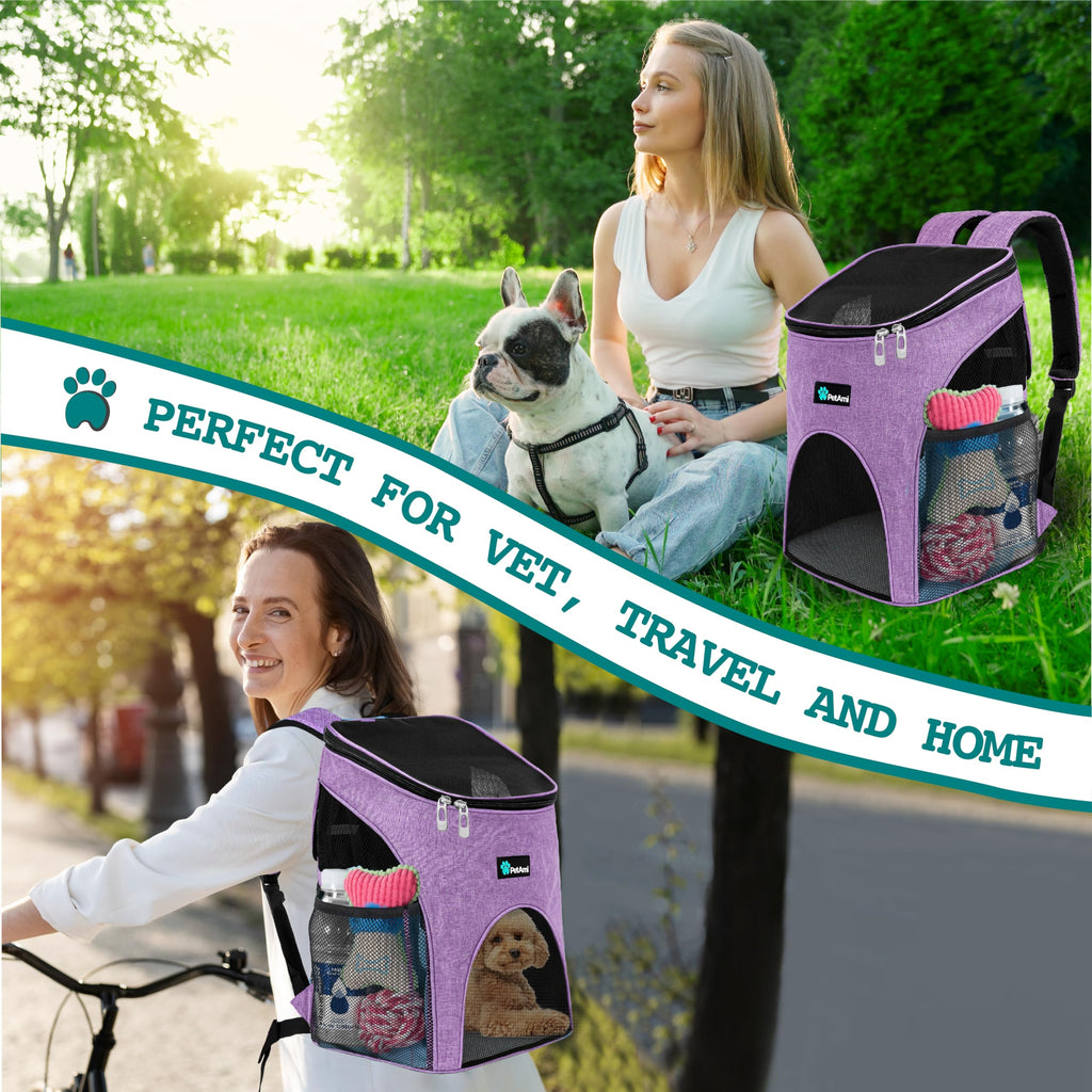 Cat Backpack Carrier Y6815