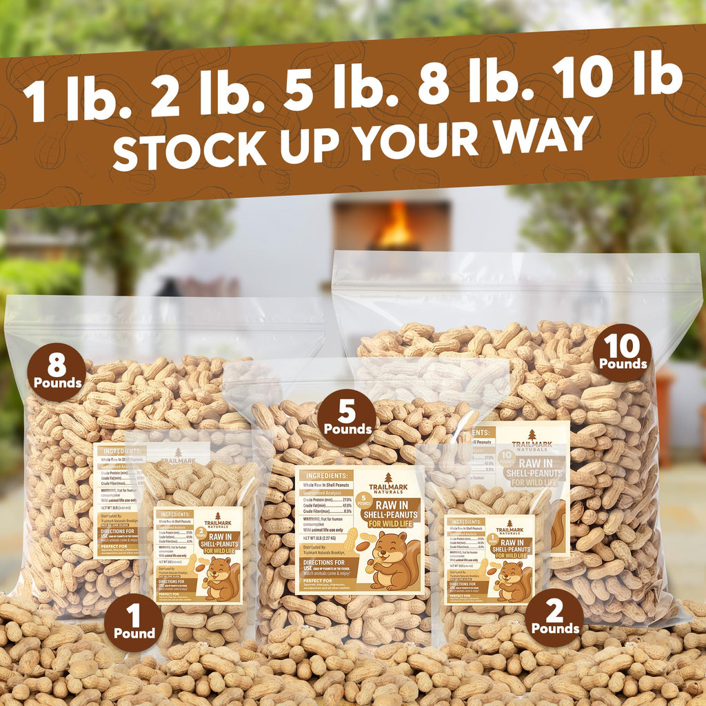 Raw Peanuts for Squirrels and Birds, 2 Pack of 5 Lb Bags E6494