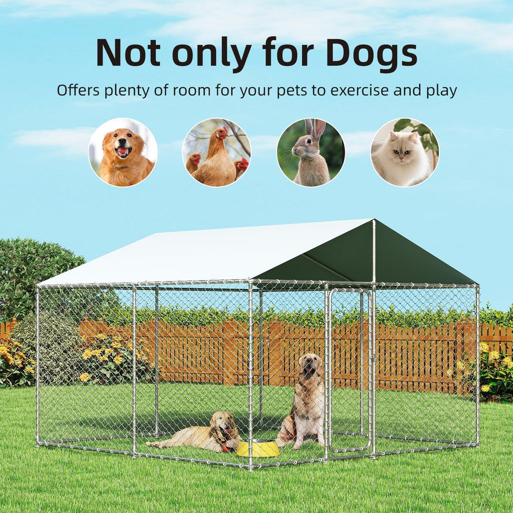 10'x10' Heavy Duty Outdoor Dog Kennel M60920