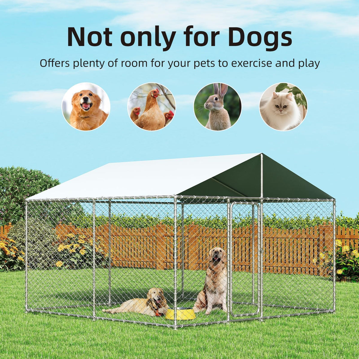 10'x10' Heavy Duty Outdoor Dog Kennel M60920